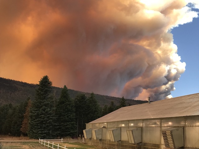 Hermit Peaks / Calf Canyon Fire 2023