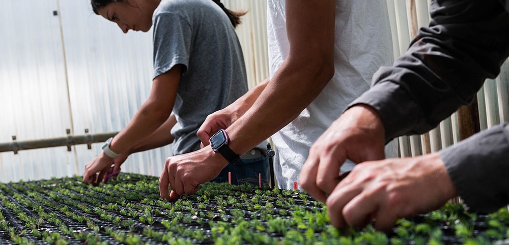 Three employees at JTH Forestry Center